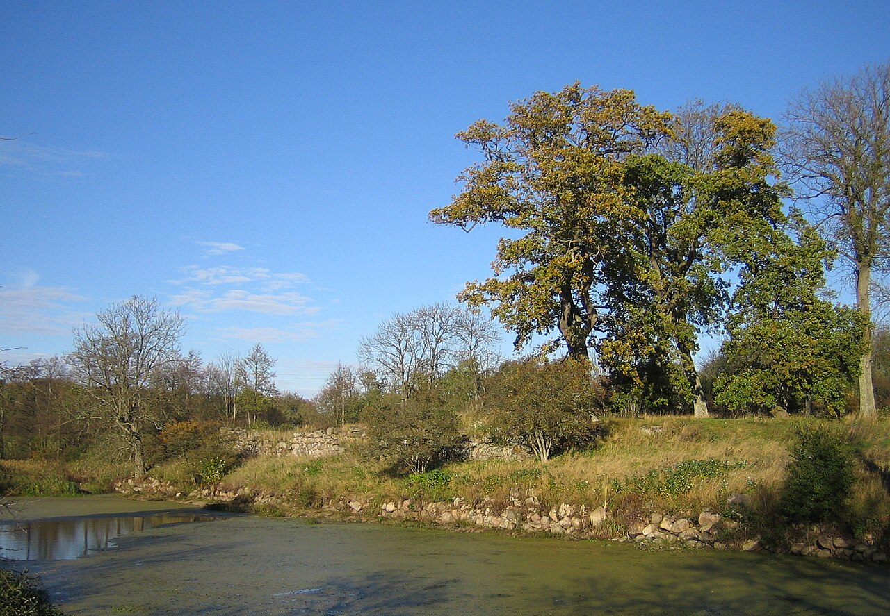 Stjärneholms borgruin